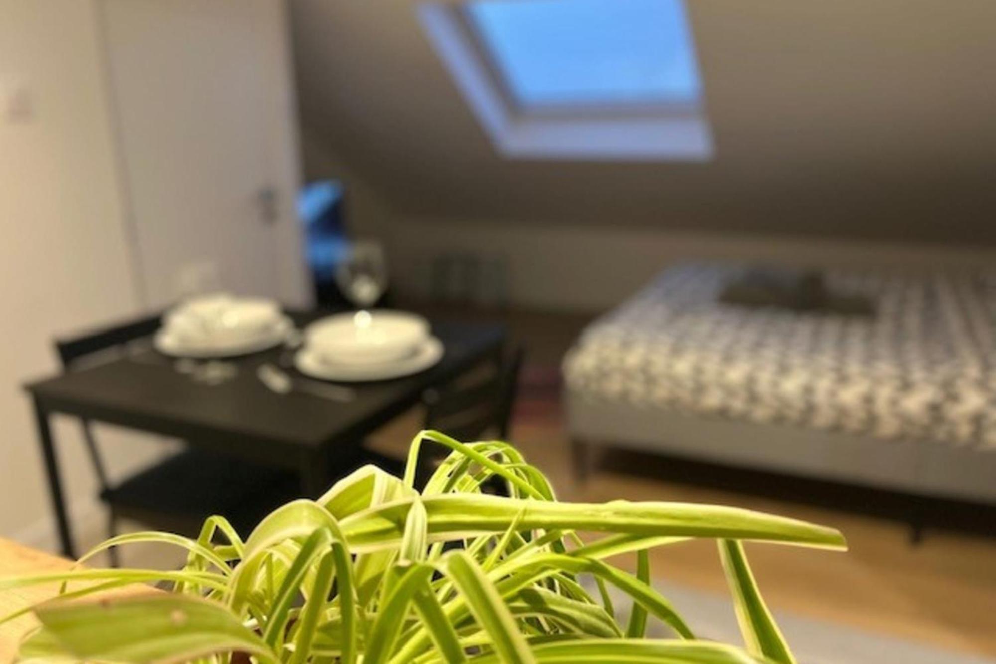 Cosy Rent Studio 1tv - Wifi Proche Gare * Straatsburg